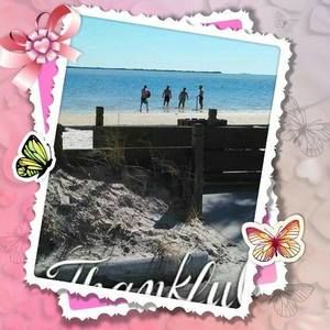 Meet your Posher, Sandra